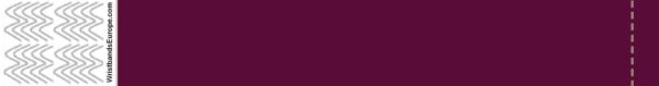 Plain Purple
