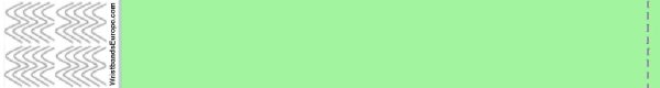 Tyvek Mint Green