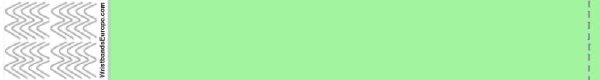 Plain Mint Green